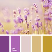 родственно-контрастные цвета